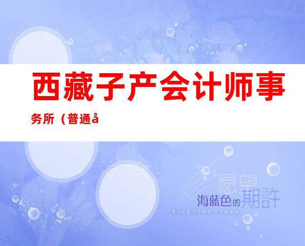 西藏子产会计师事务所（普通合伙）