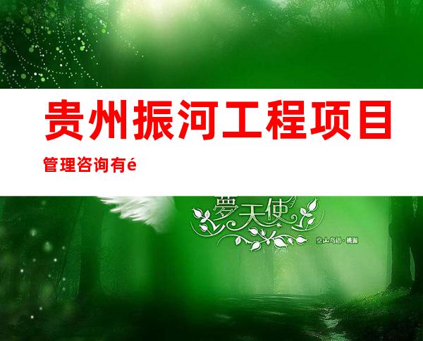 贵州振河工程项目管理咨询有限公司