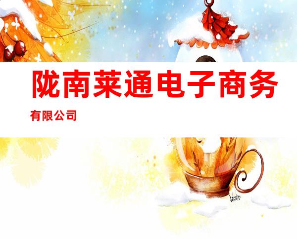 陇南莱通电子商务有限公司