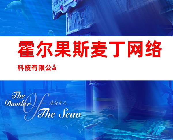 霍尔果斯麦丁网络科技有限公司